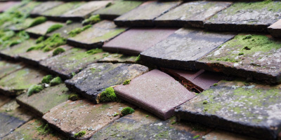 Hardwick roof repair costs